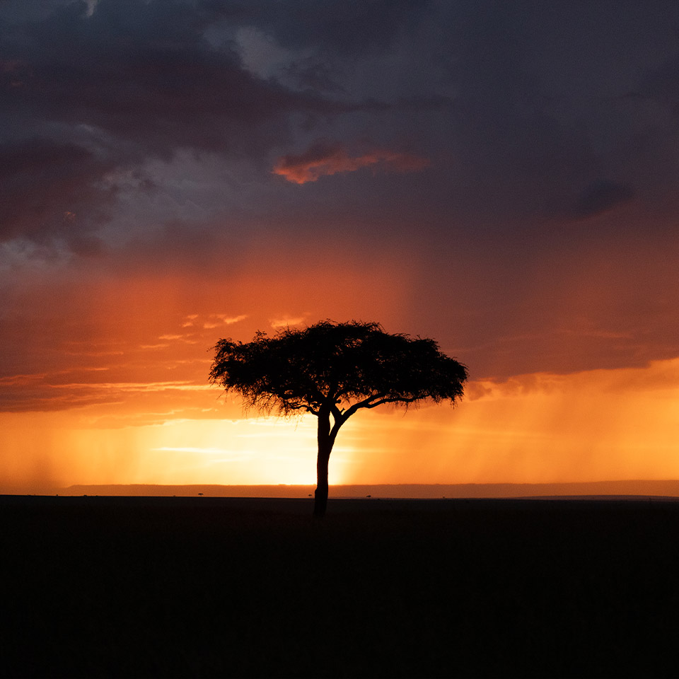 Smiling Maasai Adventures20_1x1